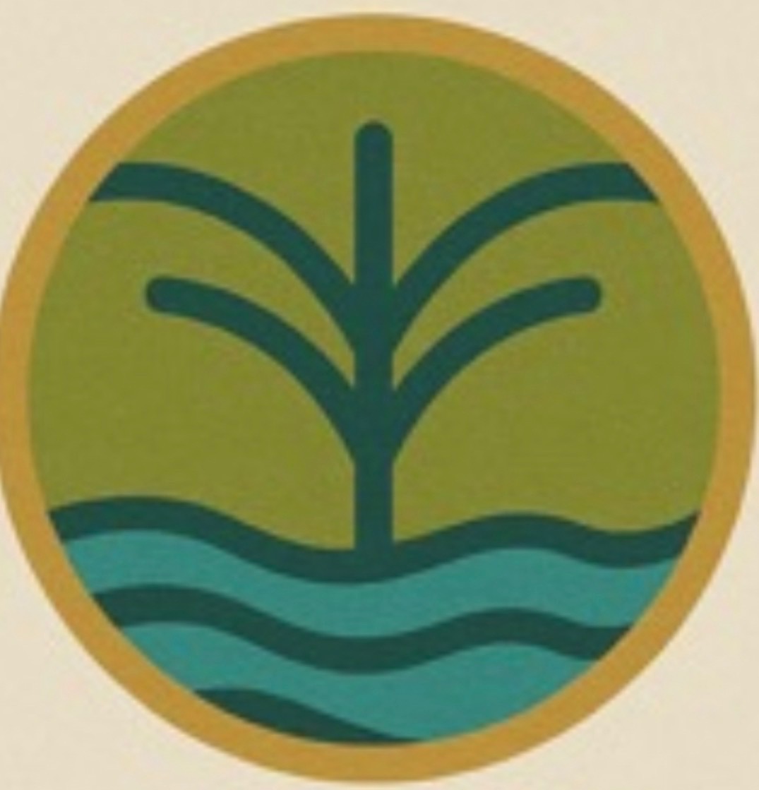 Tidewood logo – Ready-to-build coastal homesites in Pass Christian, Mississippi